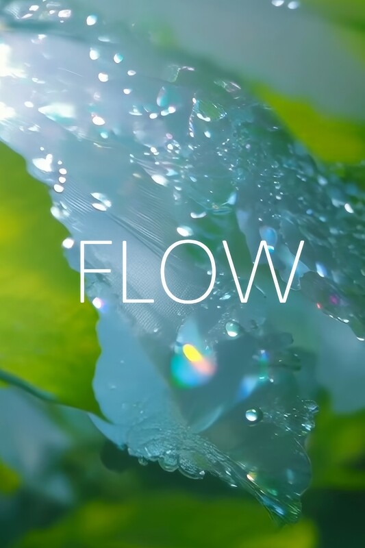 Flow