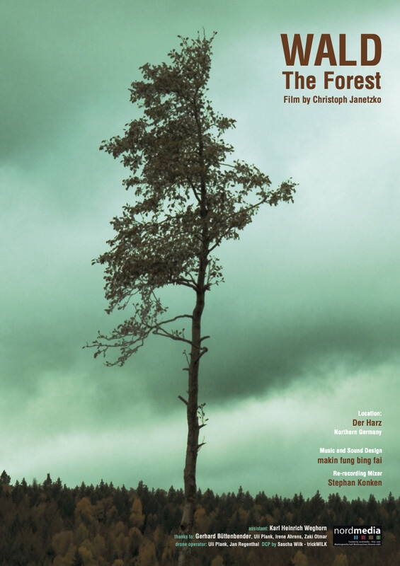 WALD the forest