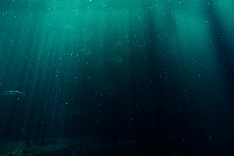 Submerged