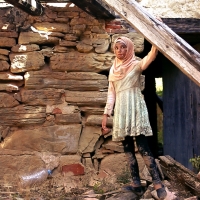 1185.jpg
