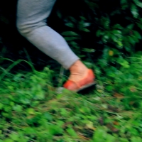 143.jpg