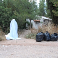 549.jpg