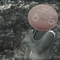 95.jpg